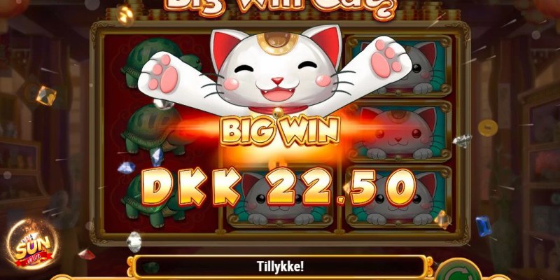 Big Win Cat là gì?
